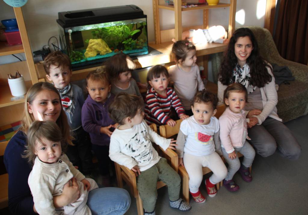 Mühlmäuse Aquarium